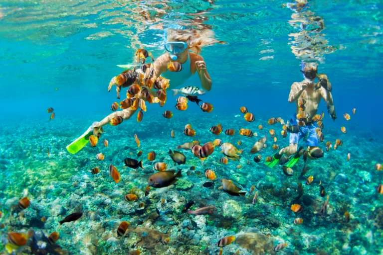 Hawaii Disney Resort and Beach Holiday