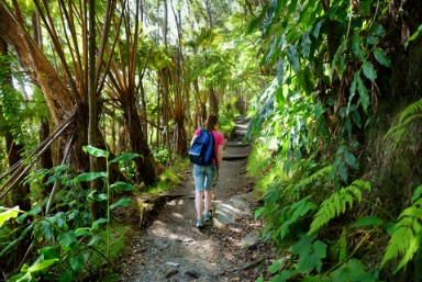 Imіlоа Astrоnоmу Cеntеr Big Island Hawaii