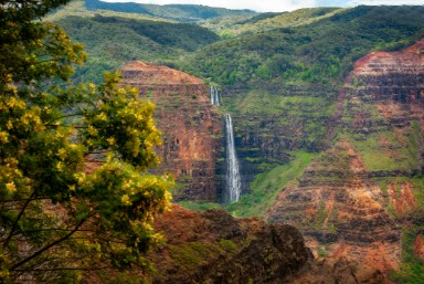 Parker Ranch Big Island Hawaii