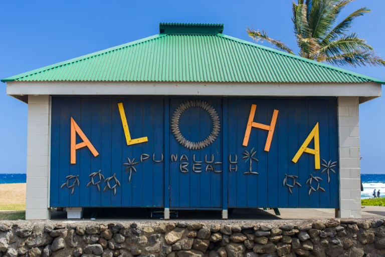 Big Island and Waikiki Oahu Hawaii Holiday