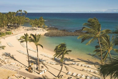 The Fairmont Orchid