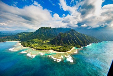 The Hawaiian Green Sea Turtle