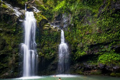 Maui Gold Pineapples Tour