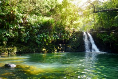 Best Beaches on Maui