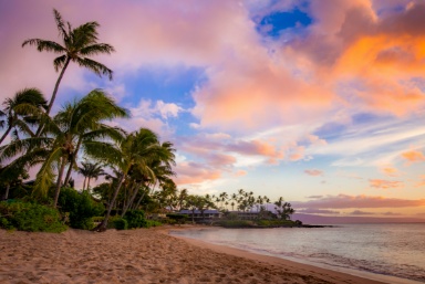 Whale Watching In Maui