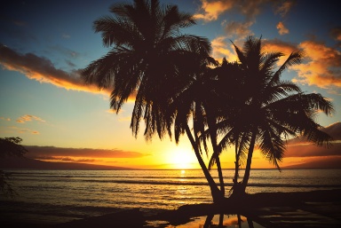 The Road to Hana