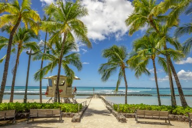 Weddings in Hawaii