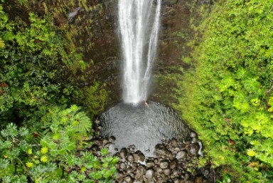 Find Elvis Locations in Hawaii